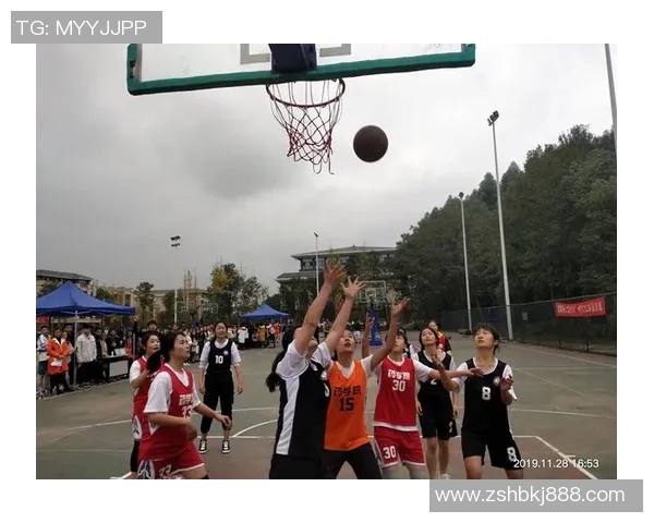 杨丽的篮球人生深度对话：从球场到梦想的追逐与坚持